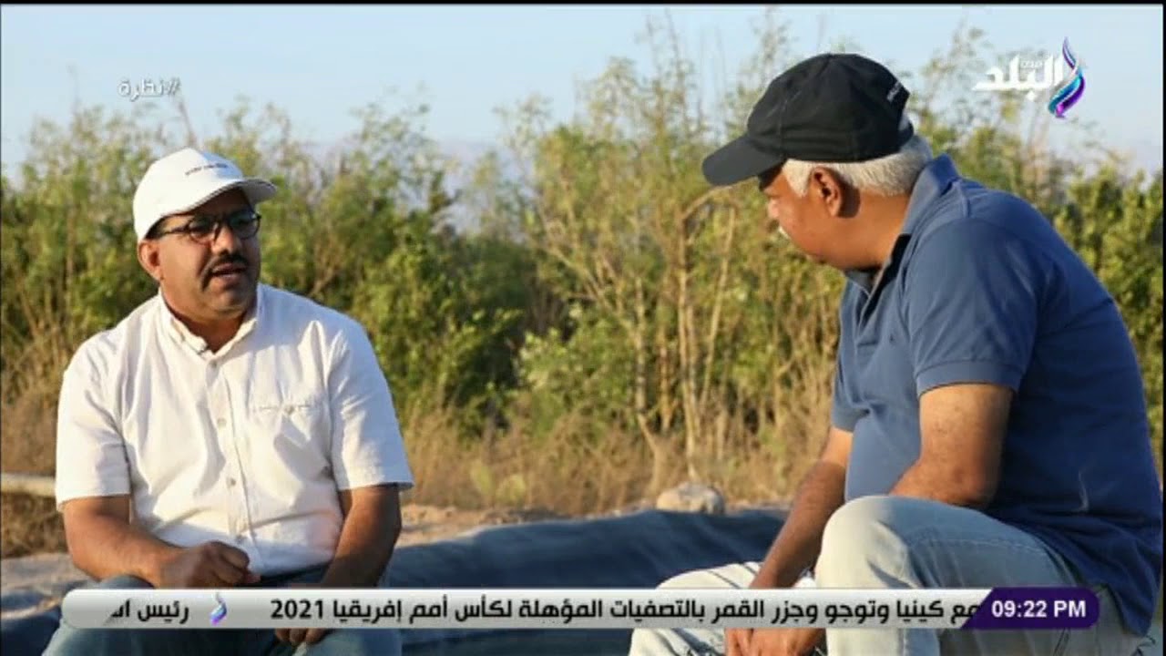 نظرة - المياه متوفرة بغزارة .. مستثمر يتحدث عن مستقبل الزراعة في طور سيناء
