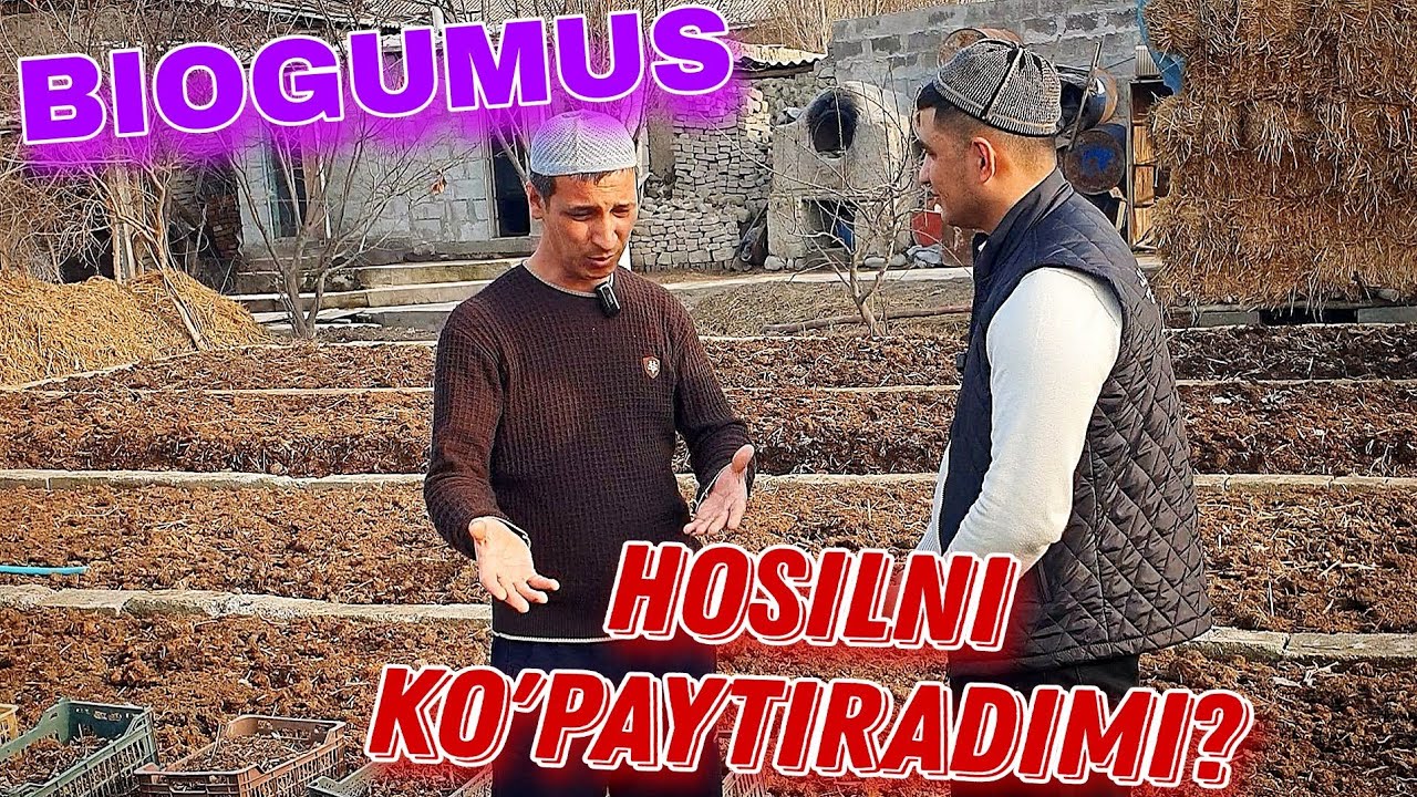 Biogumusni ekinlarga foydasi qanday?