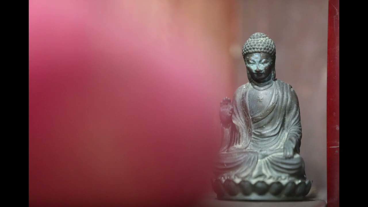 26년 2월 나주 금성산 다보사
