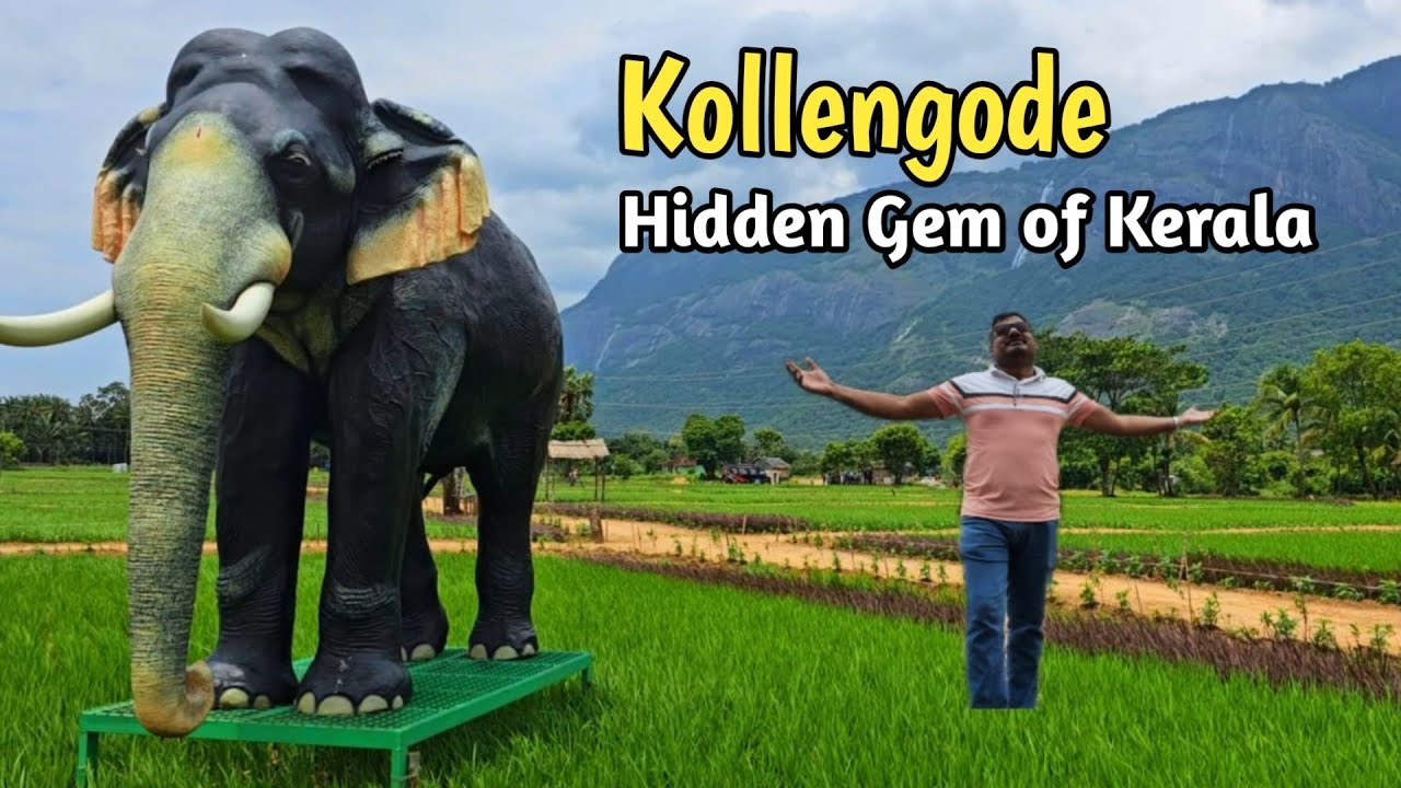 🙄🙄 The Shocking Truth About Kollengode That Nobody Tells You 🔥🔥 | Jolly Trip