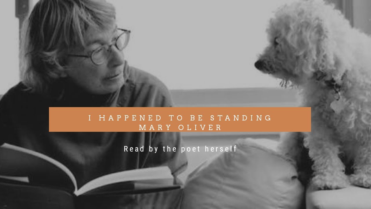 &ldquo;I Happened To Be Standing&rdquo; by Mary Oliver | A Thousand mornings | #maryoliver