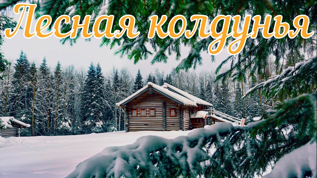 Лесная колдунья. Страшная история.
