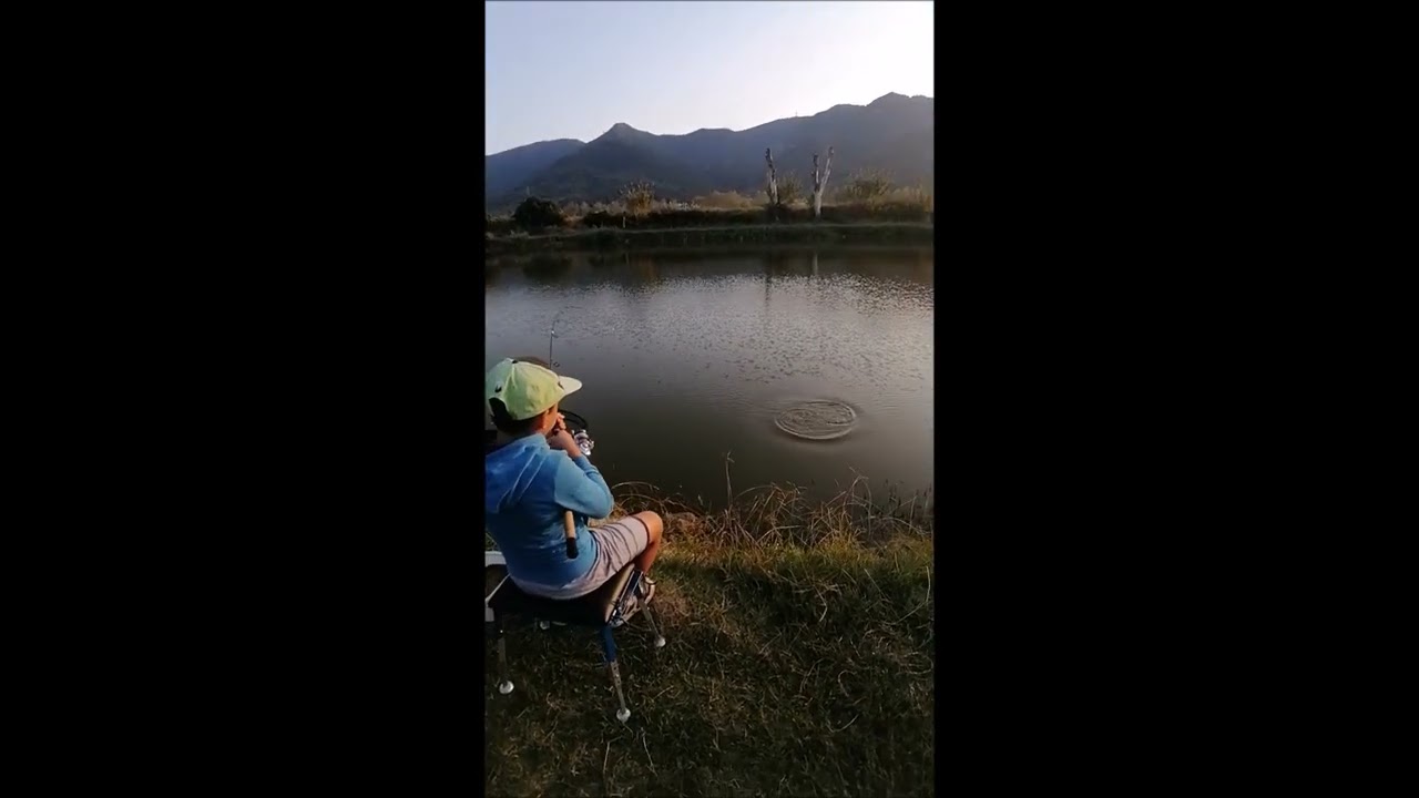 Carpa a method feeder per Leonardo