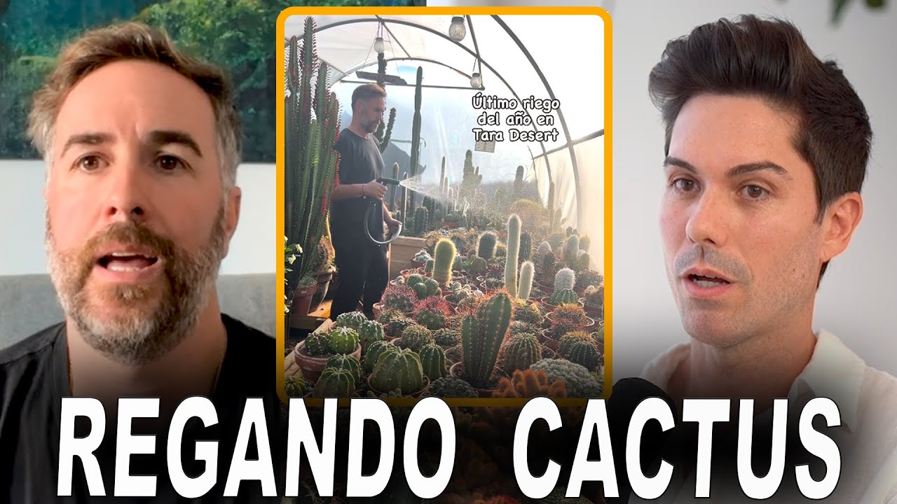C&oacute;mo REGAR CACTUS en casa 