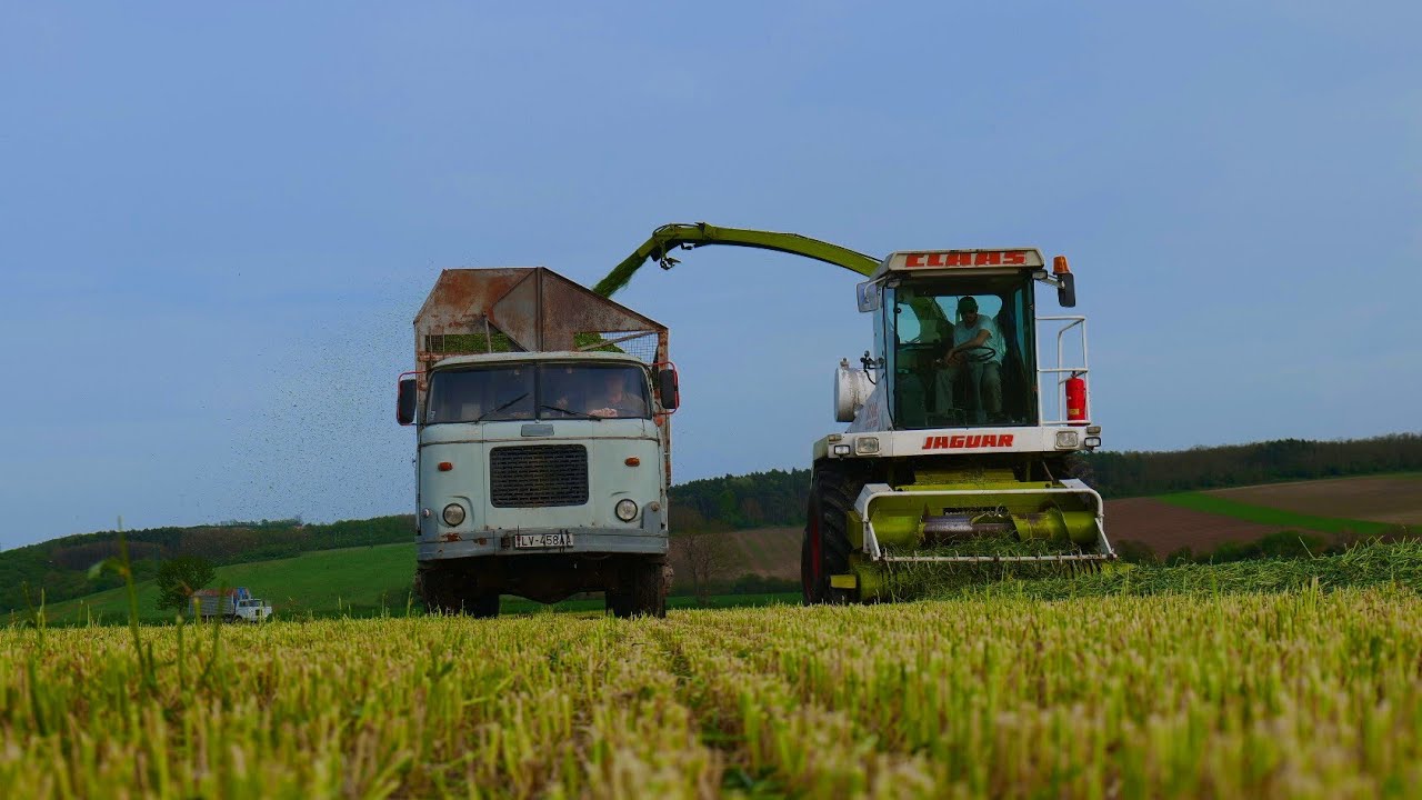 Senáže raže 2024  l 2x Škoda Liaz 706, New Holland T7050 l OLD MACHINERY l PD Kozárovce