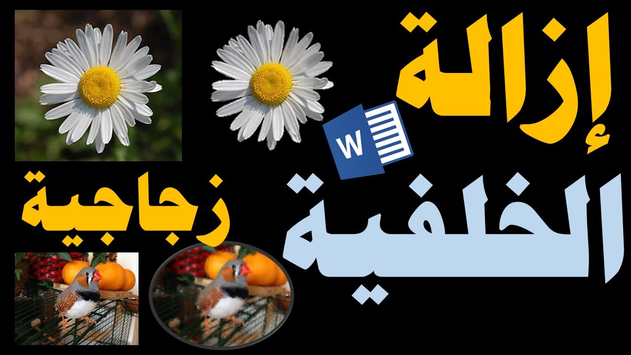 كيفية ازالة خلفية الصورة في الوورد وتحسينات وضبط الألوان Word