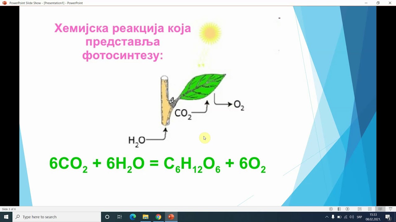 Evolutivne novine kod kopnenih biljaka