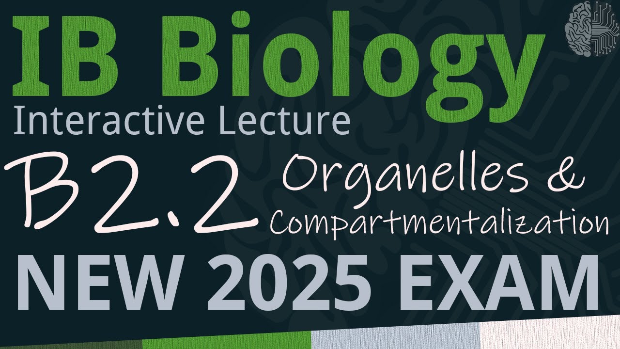 IB Biology B2.2 - Organelles & Compartmentalization [SL/HL] - Interactive Lecture 2025-2033