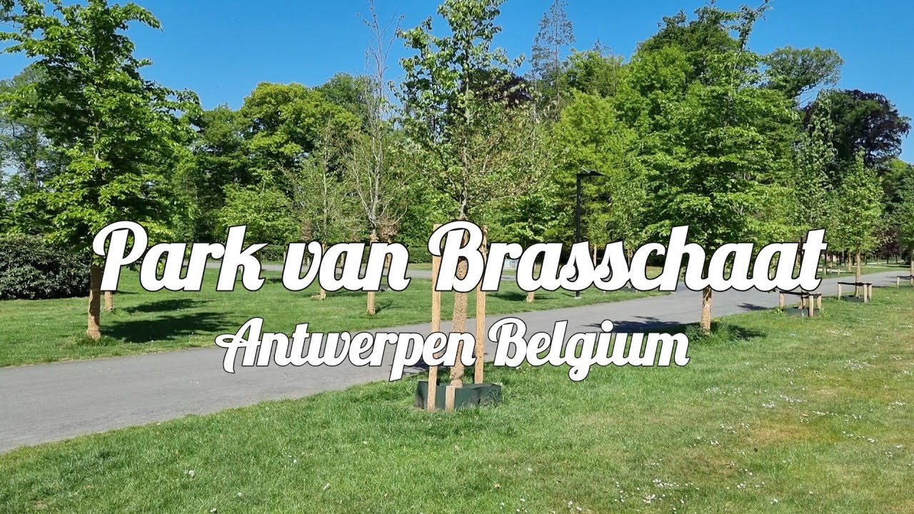 Park Van Brasschaat 4K