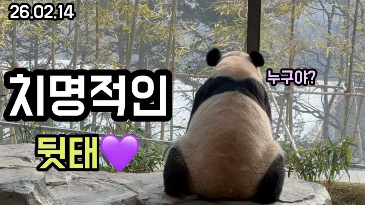 26.02.14 누가 소리를 내었는가👀 루씨티비 작동중😊🎥