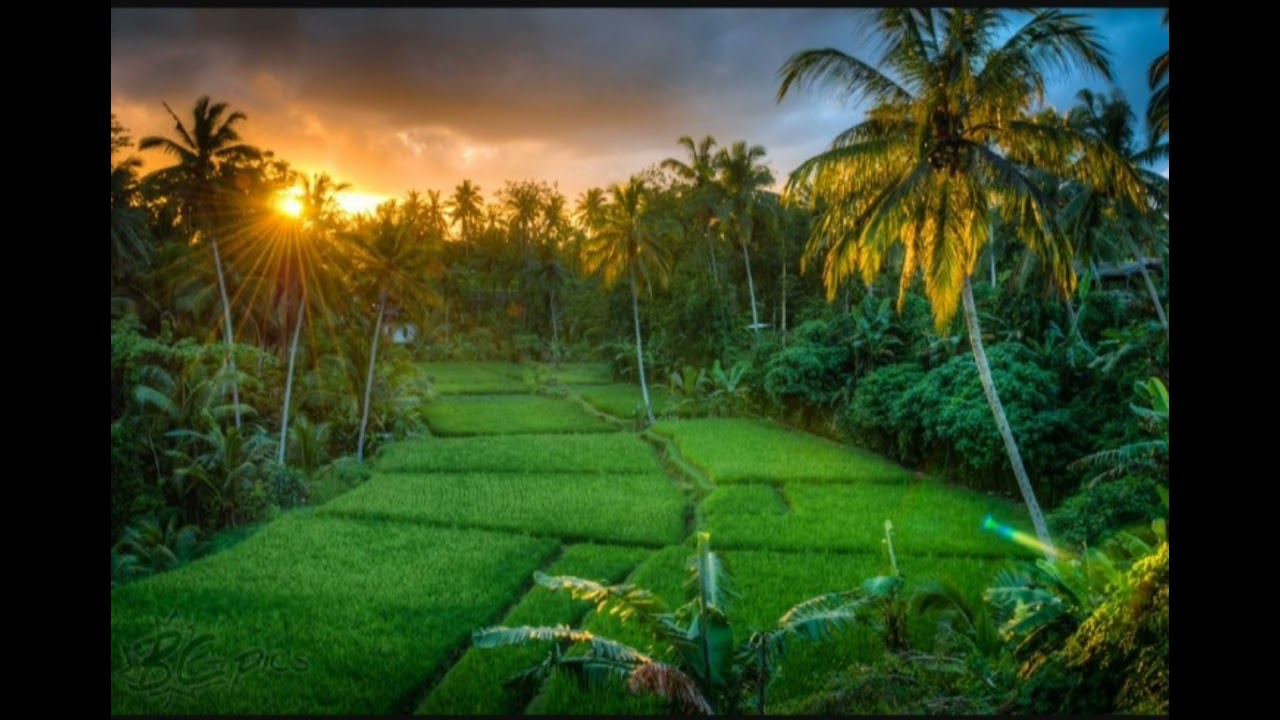 The music of the lute and flute from the Sunda region, very beautiful and soul-touching relaxation: