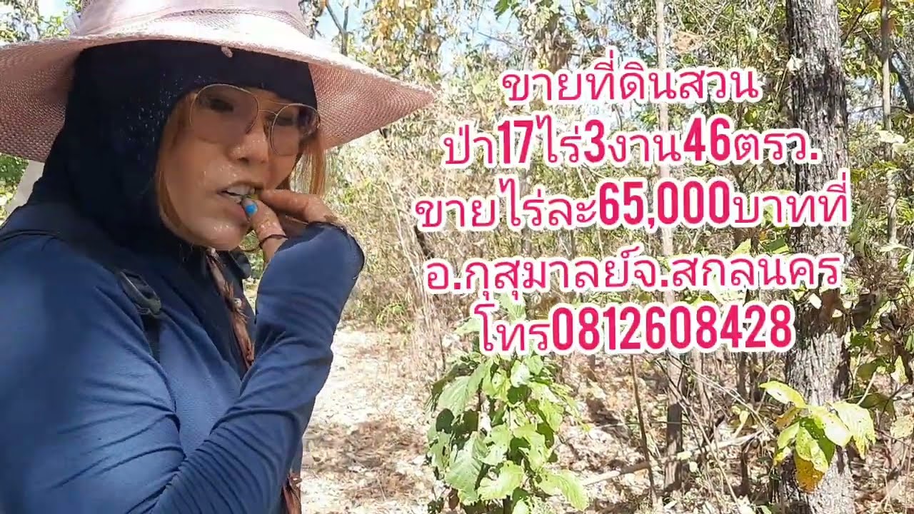 ขายที่ดินสวนป่า17ไร่3งาน46ตรว.ขายไร่ละ65,000บ.ที่อ.กุสุมาลย์ จ.สกลนคร