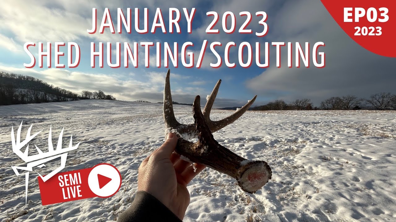 January 2023 Shed Hunting / Scouting