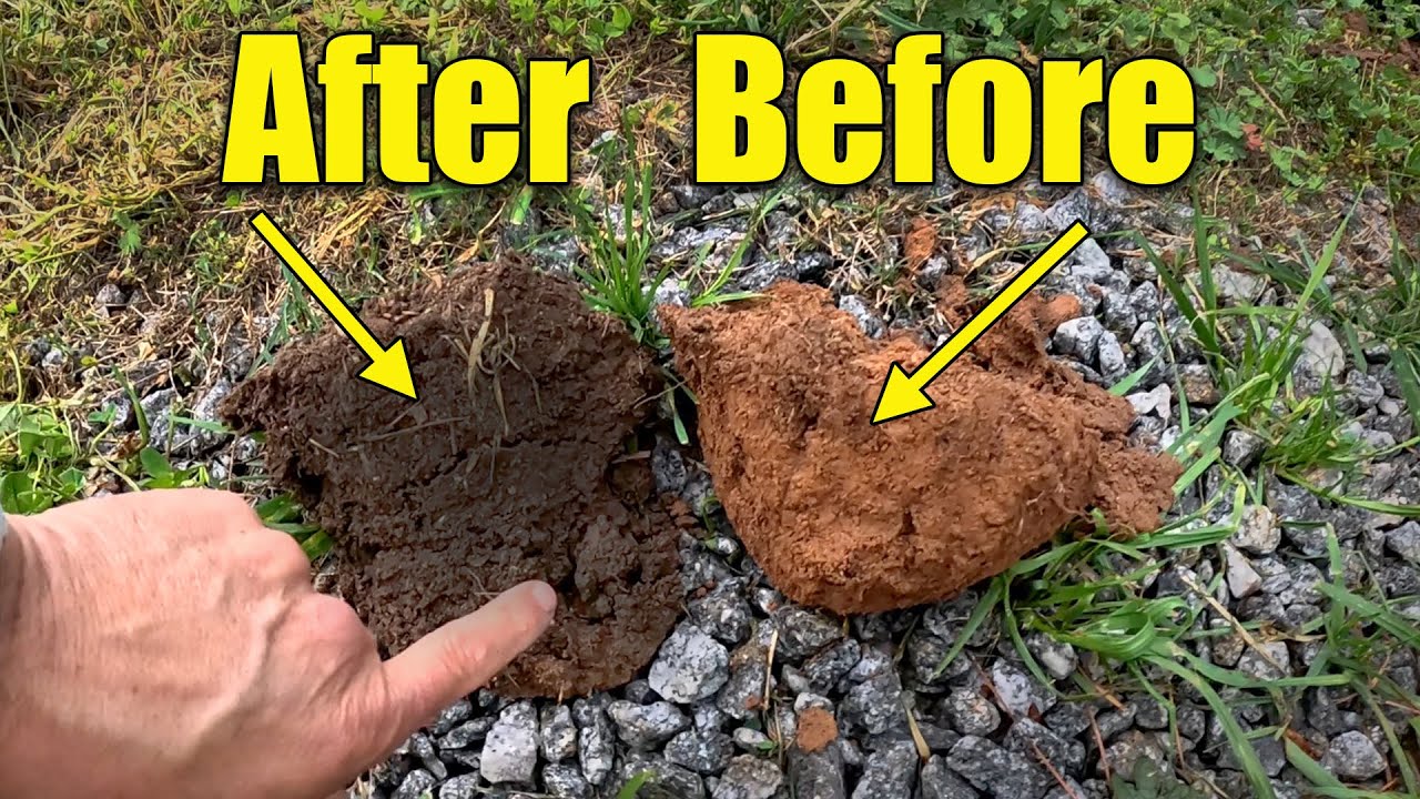 No-Till Myths and Veggie Garden Soil and Compost
