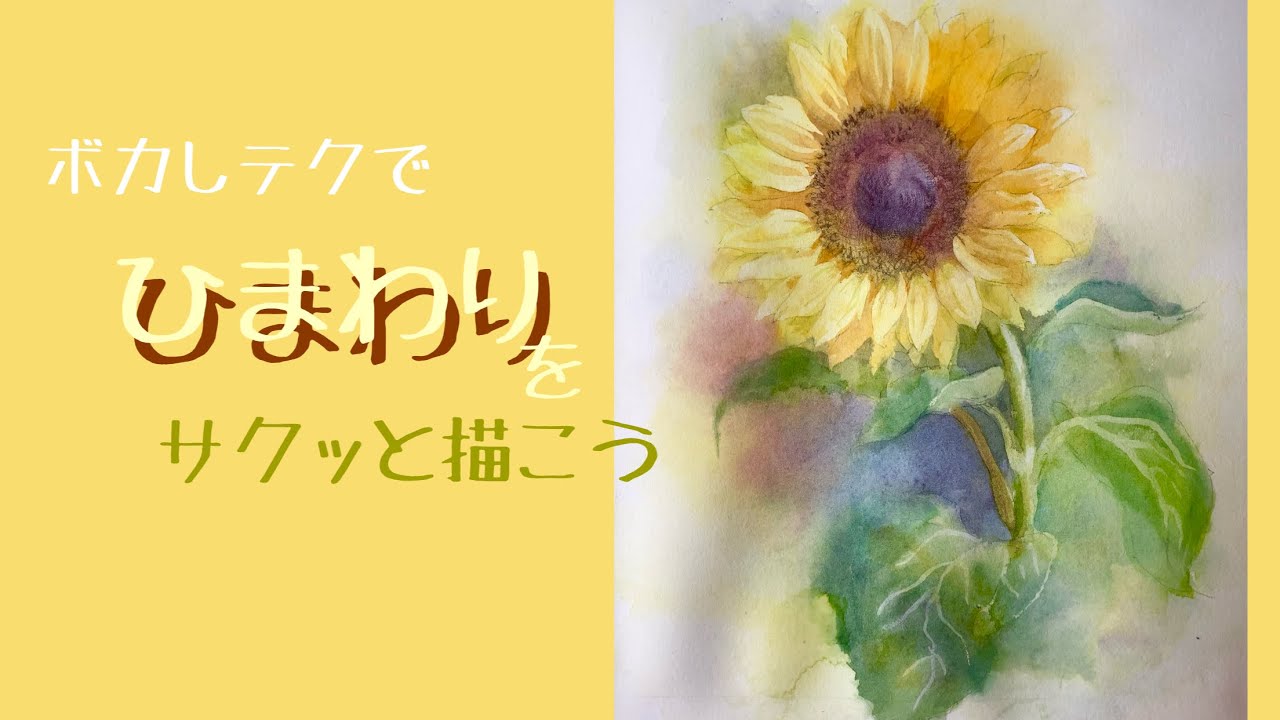 ひまわりをぼかしテクでサクッと描こう #水彩画初心者  #水彩画描き方#水彩画花