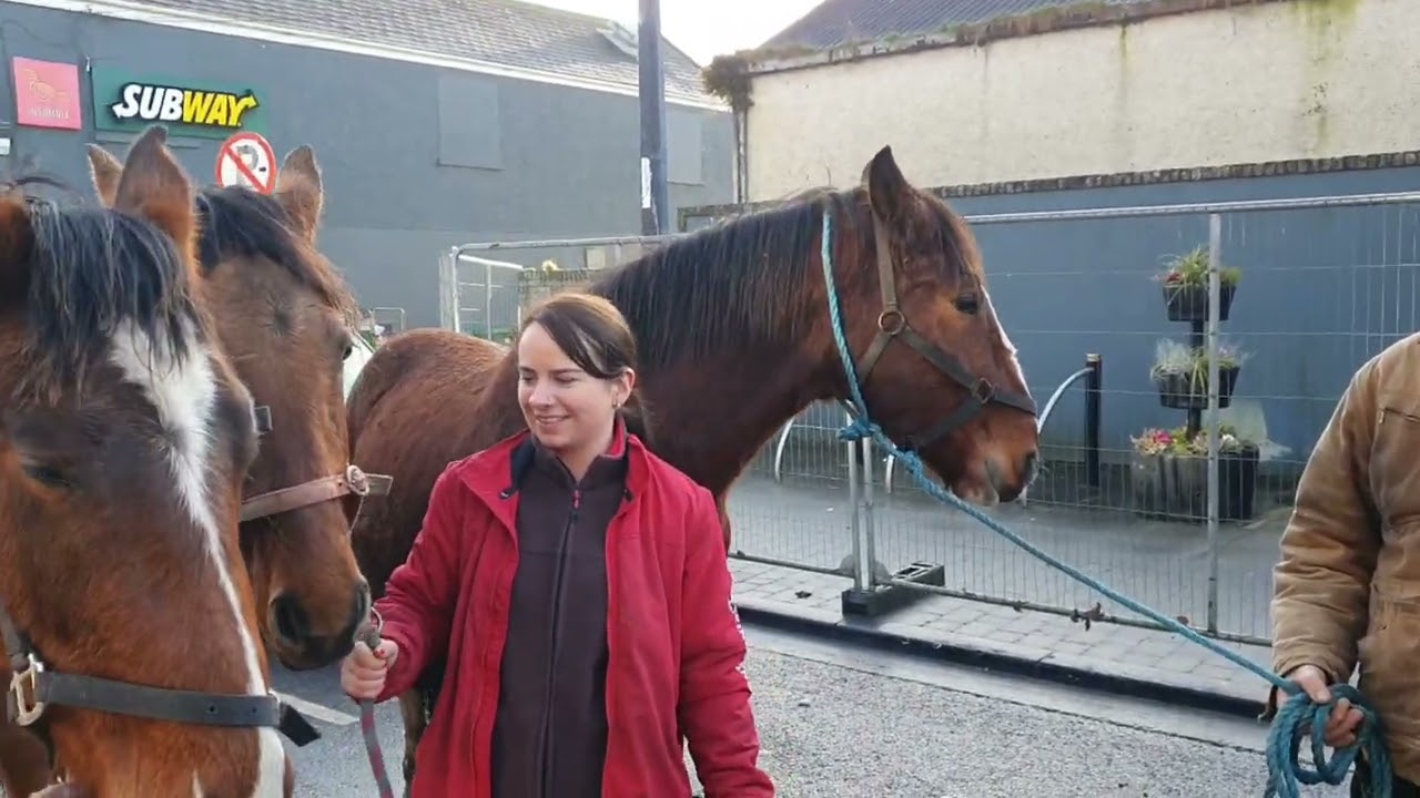 January horse 🐎 fair Listowel 2026 on Thursday new years day.