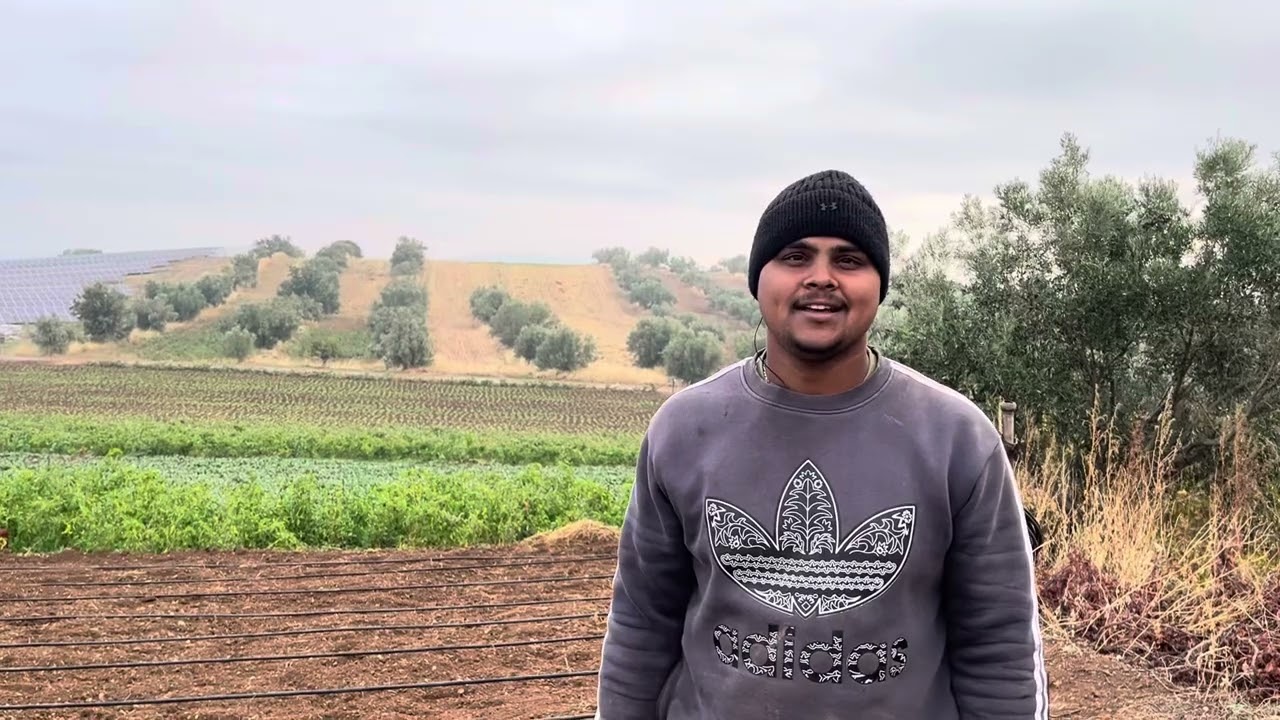 Meeh ch kita kmm ajj view vadia ho geya greece da ਸ਼ਲਗਮ ਪੱਟੇ meeh ch 
