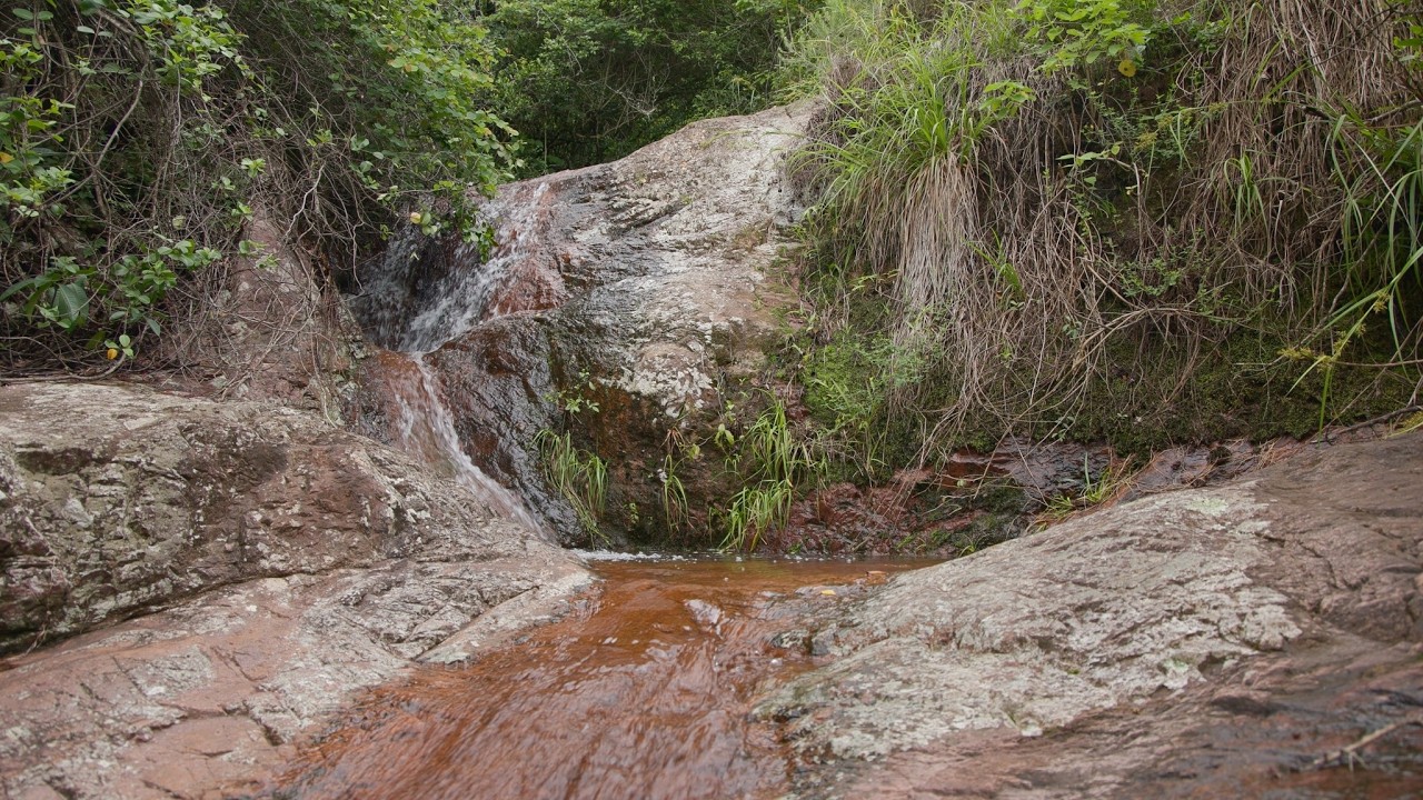Peaceful Forest Stream Sounds for Relaxation and Studying | Gentle Water Flowing Over Natural Rocks