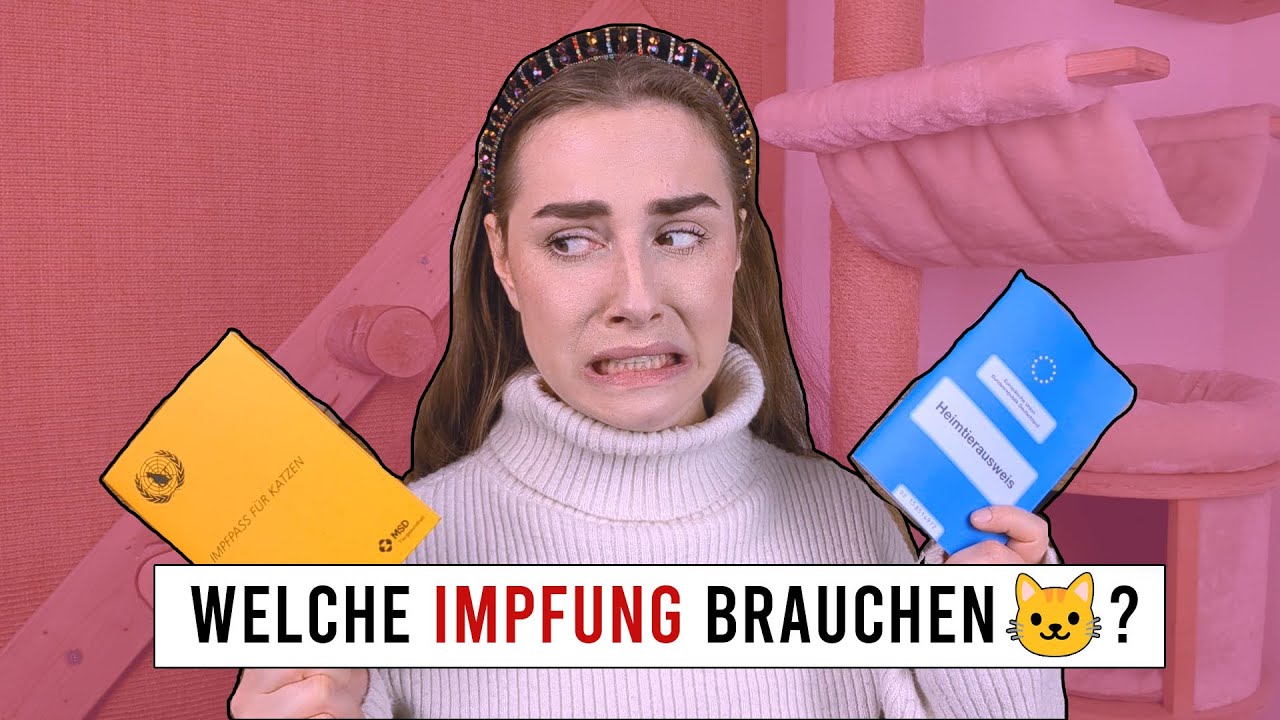Welche Impfungen brauchen Katzen WIRKLICH? Schutz vor Katzenseuche und Katzenschnupfen? Amely Rose