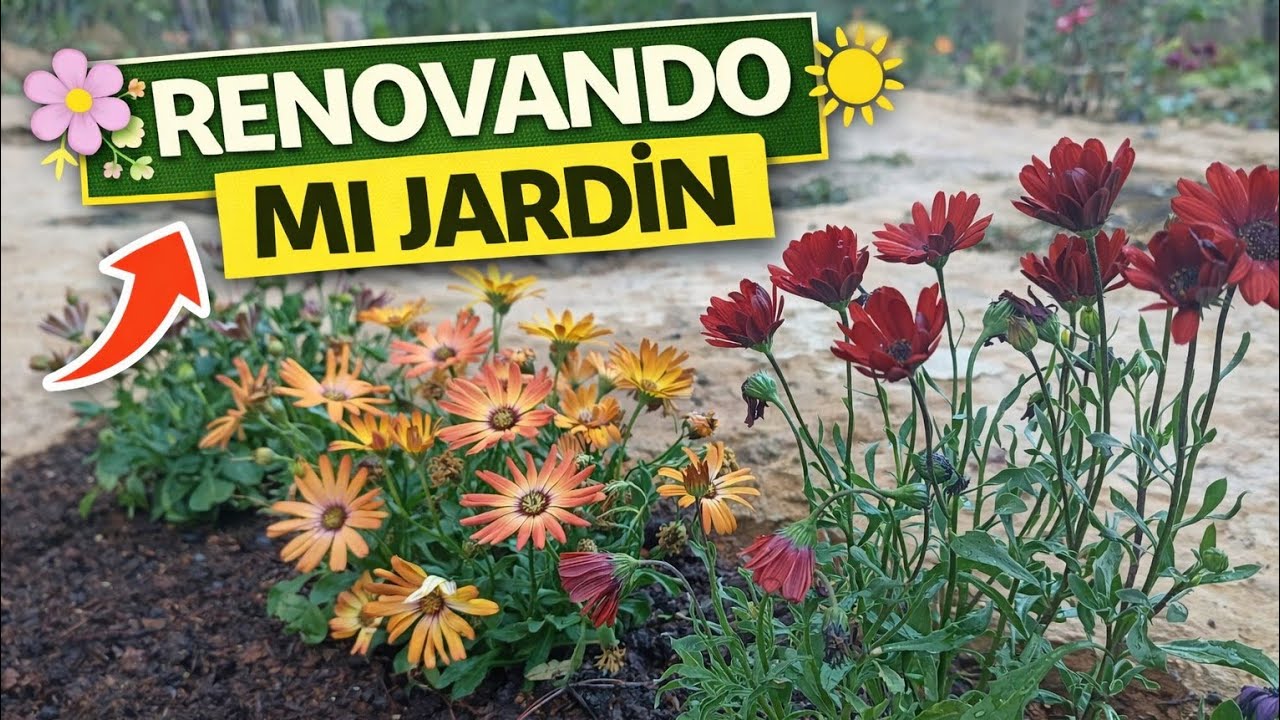 Renové mi jardín con plantas de sol 🌼 | Paso a paso desde cero