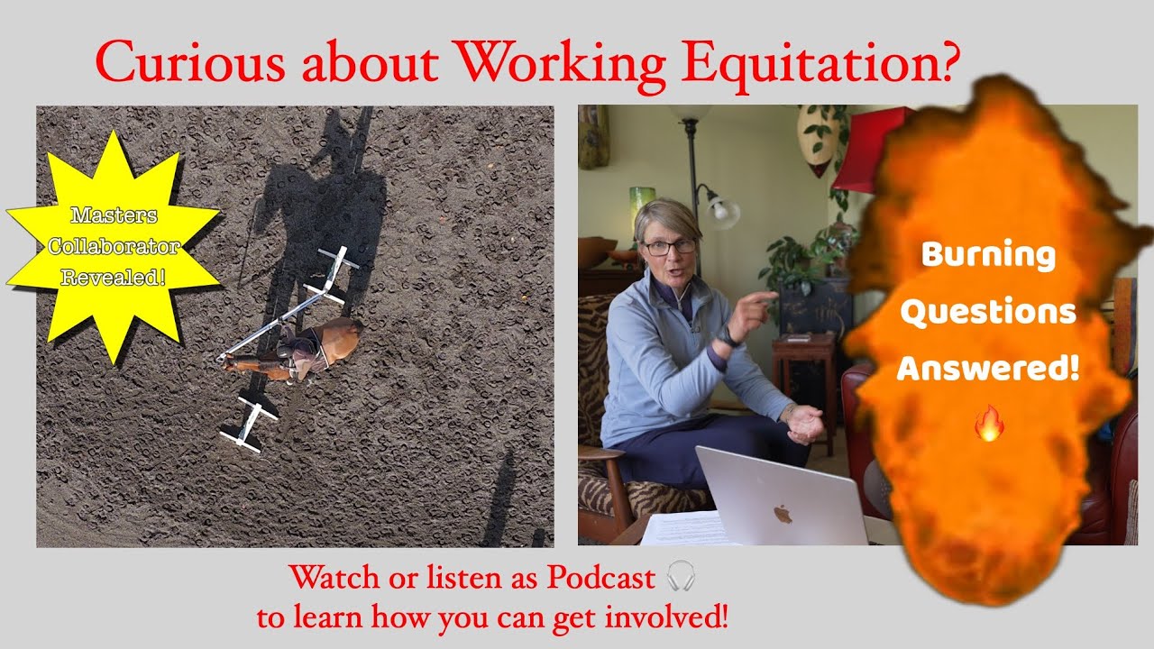 US Working Equitation explained and how to start!  Episode #3 Vlog