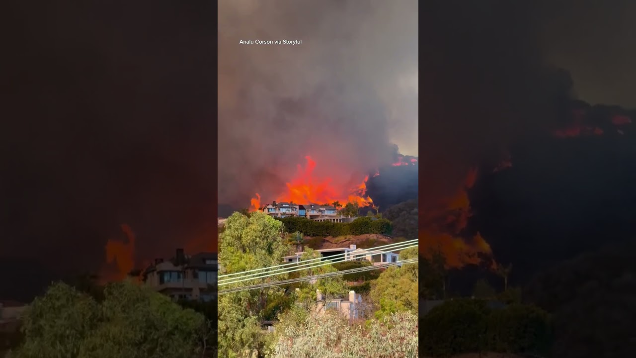 Videos show the Palisades Fire ripping through neighborhoods, forcing evacuations