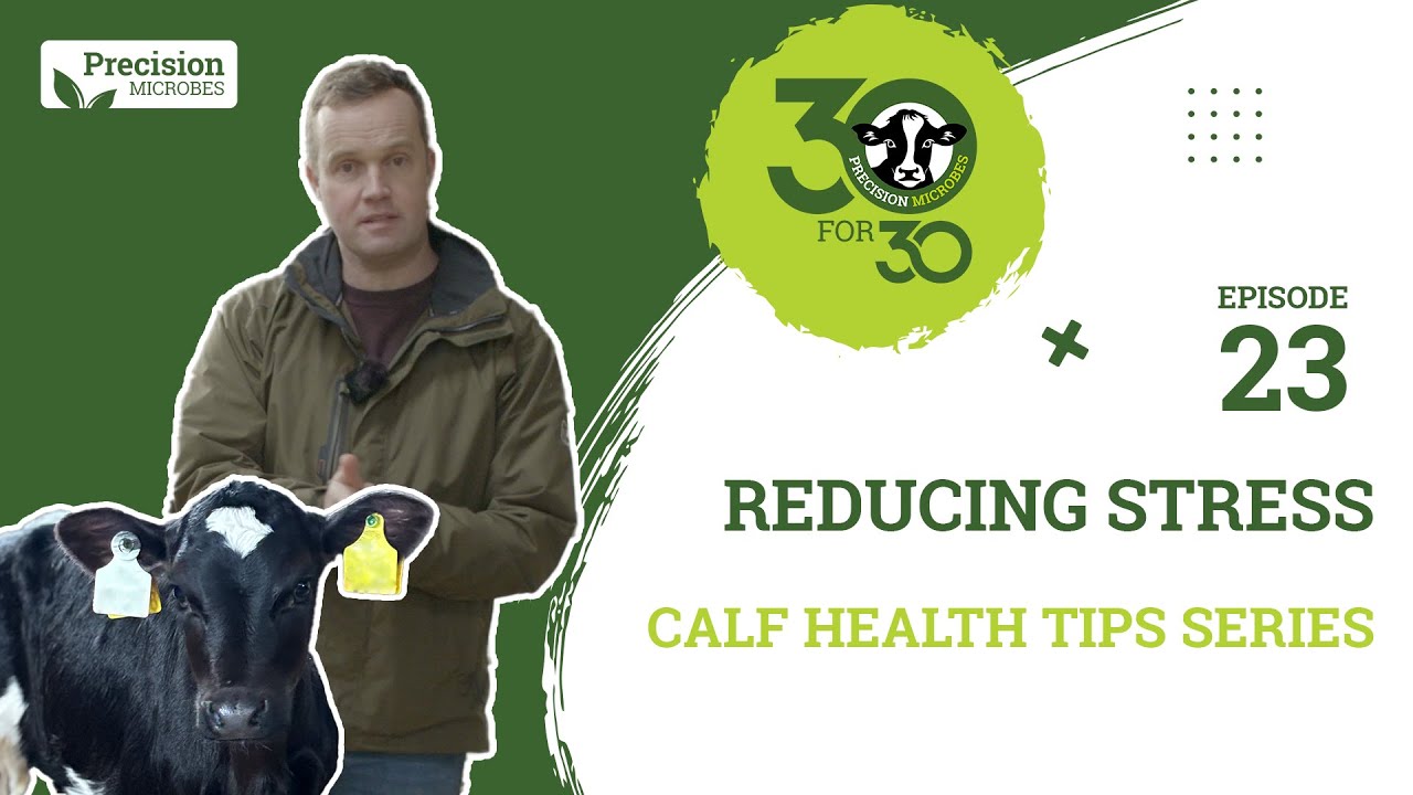 Calf Health Tips - Episode 23: Reducing Stress