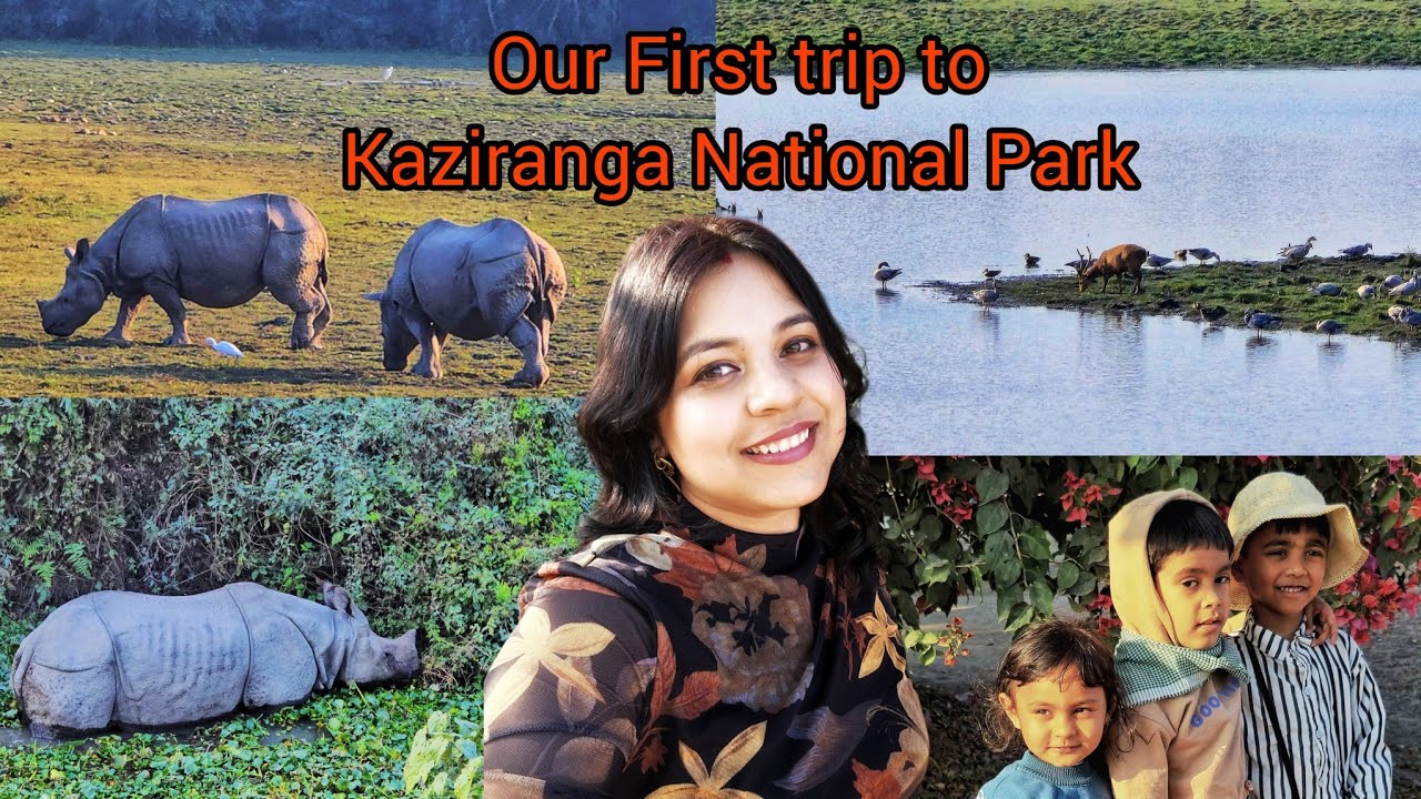 Our First Family Trip to Kaziranga National Park| Rhinos, Wildlife & মাইৰাই গড়ক দেখি কি কৰিলে ?
