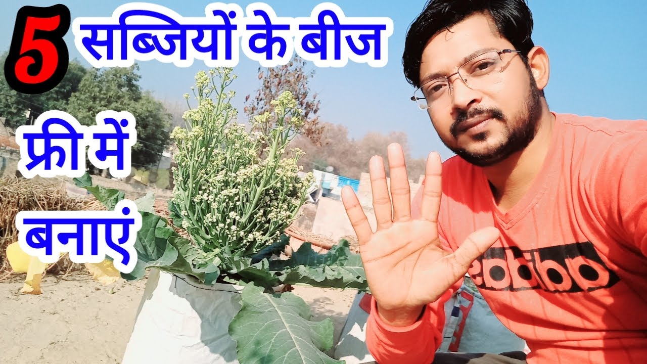 5 सब्जियों के बीज बिल्कुल फ्री में तैयार करें । Grow Vegetables from Cuttings to make Seeds at home