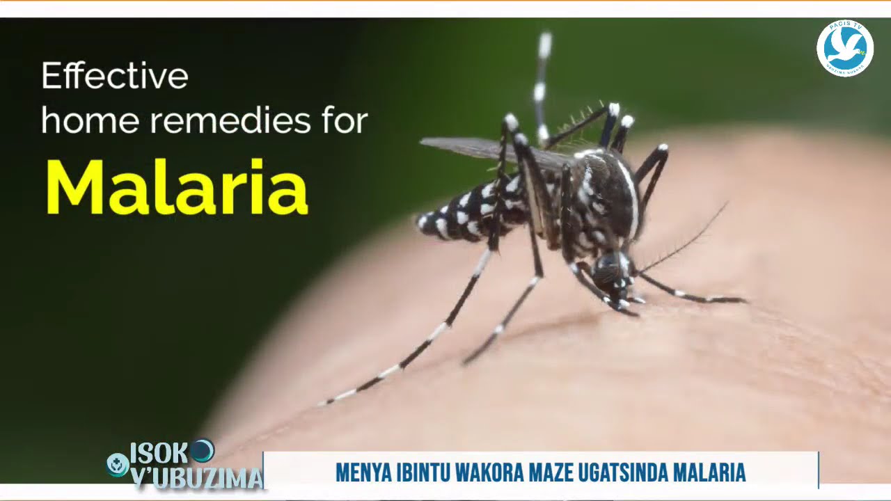MENYA IBINTU WAKORA MAZE UGATSINDA MALARIA: ISOKO Y'UBUZIMA
