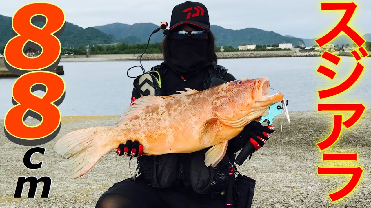 衝撃のデカさ！沖堤防からショアジギングで巨大スジアラが釣れた！！