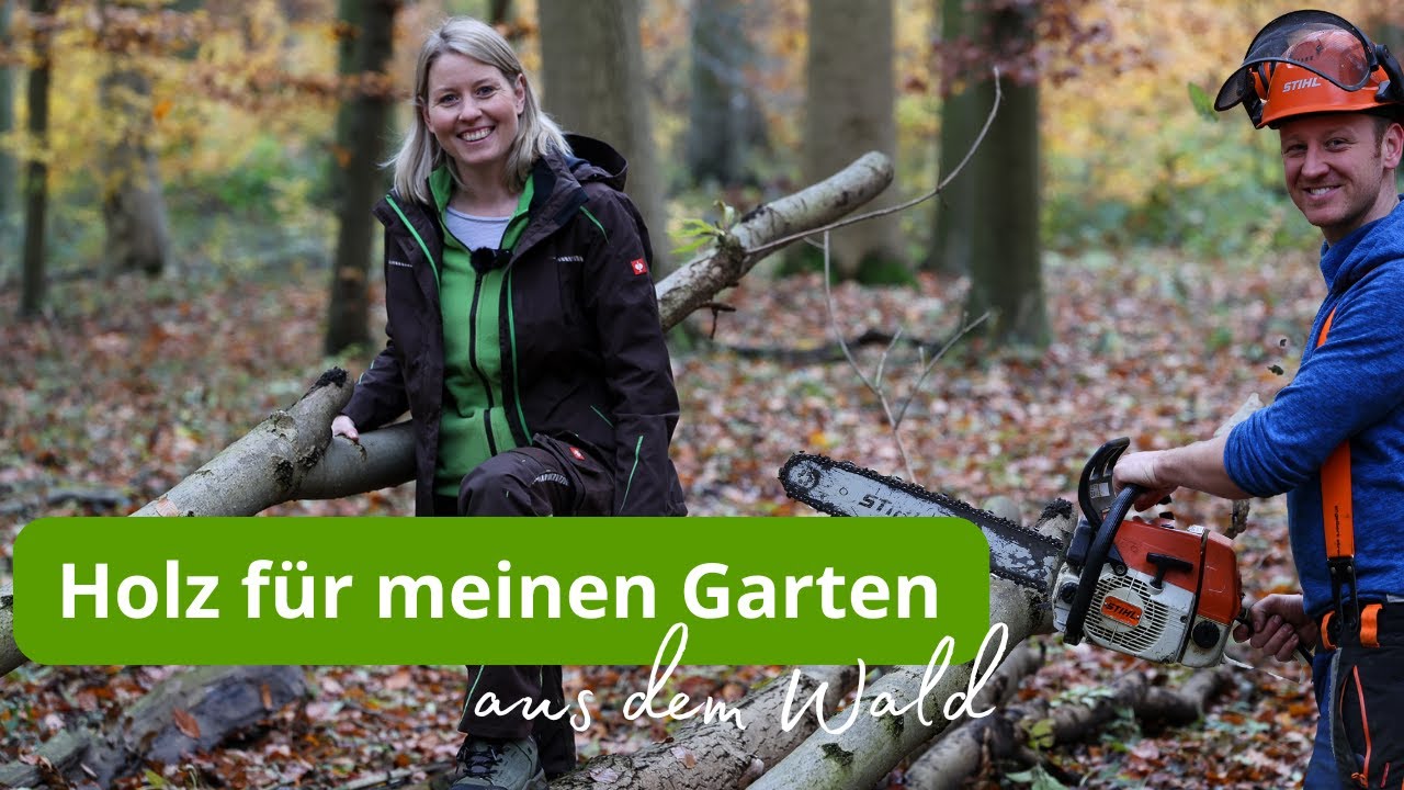 Totholz aus dem Wald: Ich möchte zusätzlichen Lebensraum in meine Garten schaffen🌳🐞mit Nachbar Jens