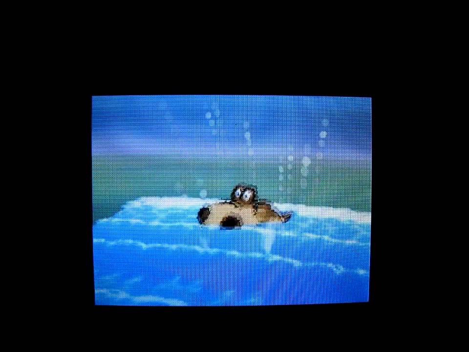 Pokemon Black Walkthrough Part 86 (Route 14/Giallo--Seven Sages)