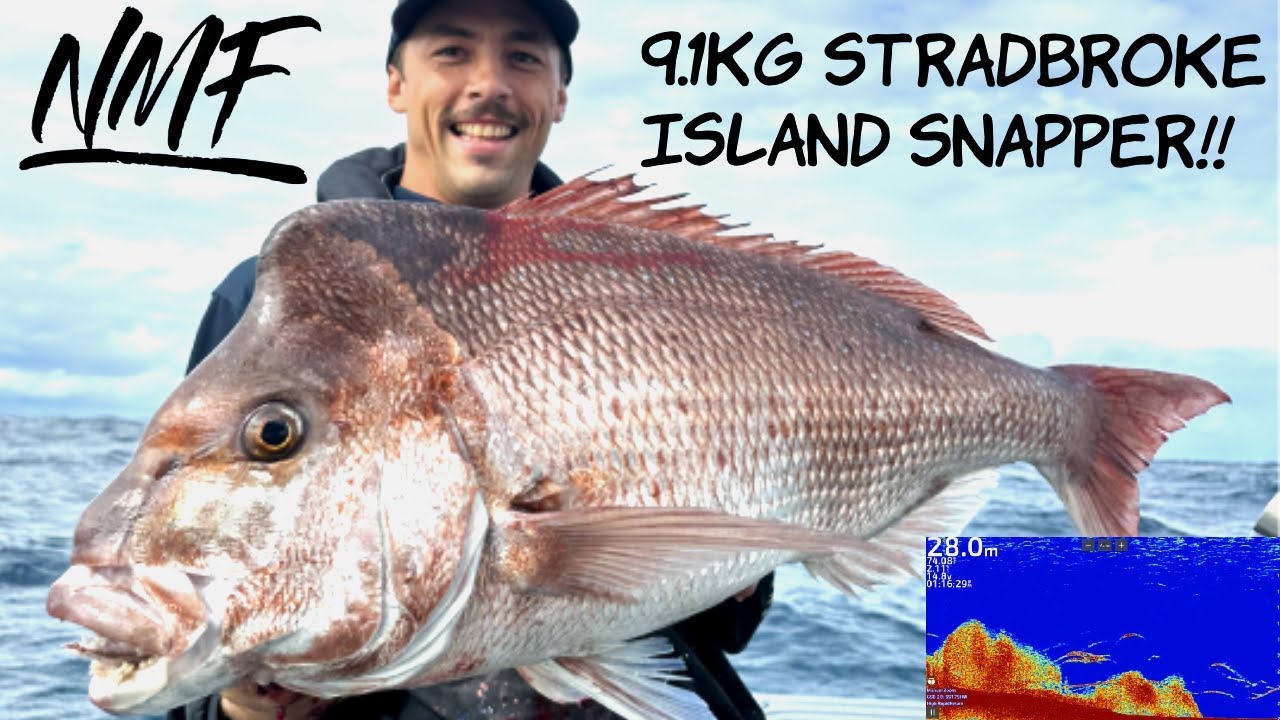 9.1KG SNAPPER - local stradbroke island !