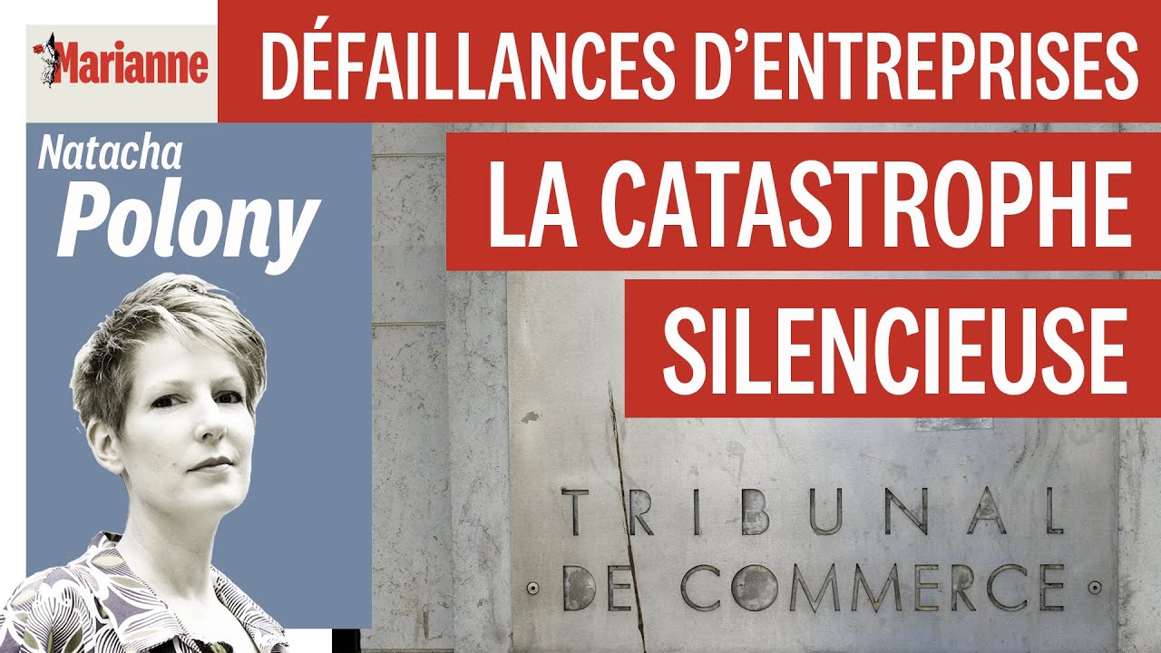 D&eacute;faillances d&rsquo;entreprises : la catastrophe silencieuse