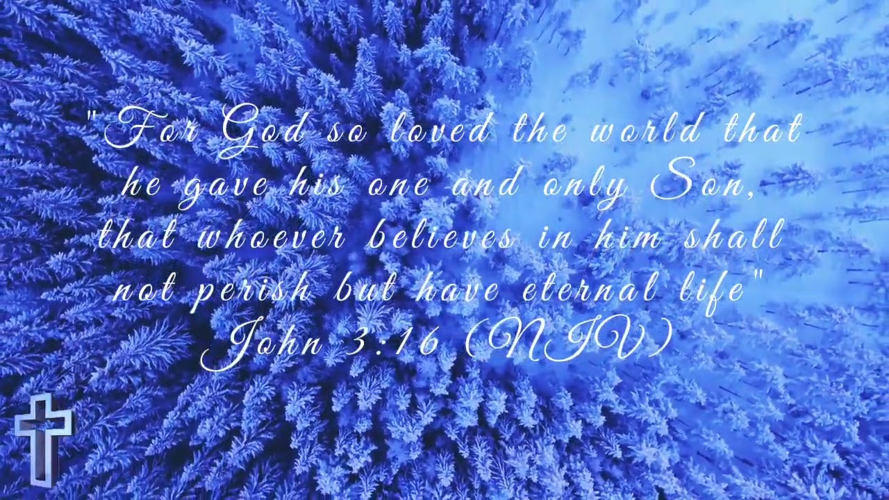 John 3:16 (NIV) Bible Verse Study &bull;⁠‿⁠&bull; ✝️   Learn God's Word &bull; Must Watch