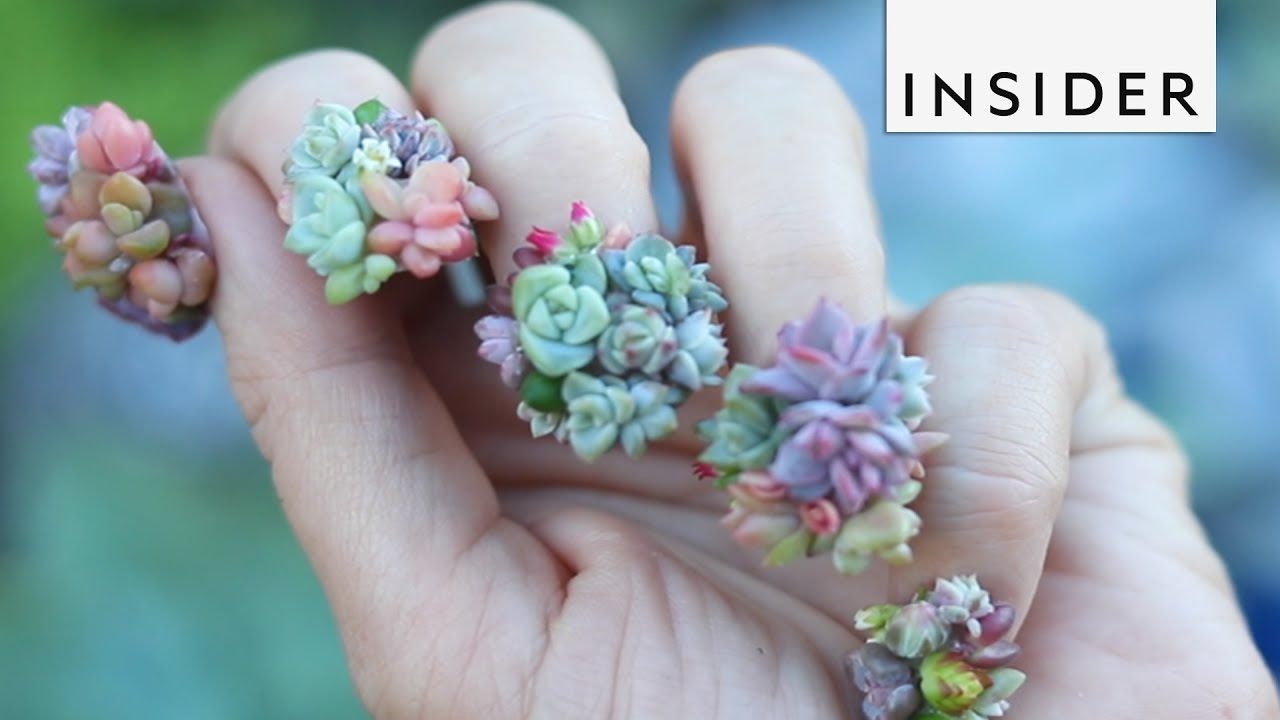 Nails With Succulents
