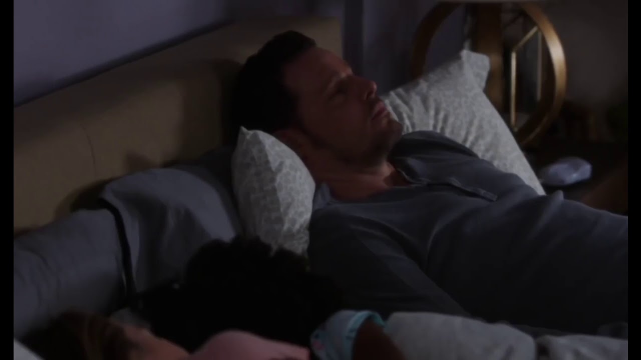 Zola Grey Shepherd scene pack logoless - greys anatomy