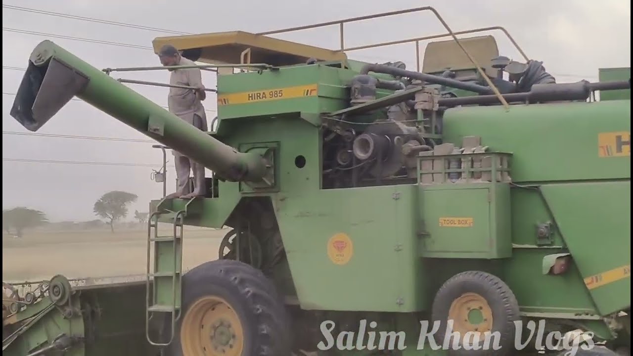Gehun Ki Katai Vlogs | Salim Khan Vlogs