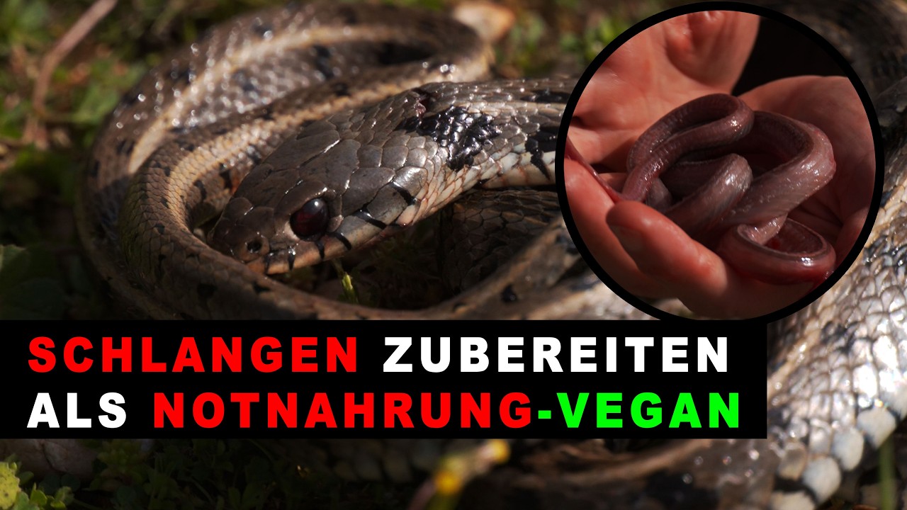 Vegan Survival - Wie man eine Schlange zum Essen vorbereitet. #survival #outdoor #vegan #joevogel 🟢