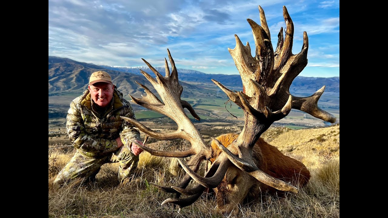 Caza de uno de los ciervos mas grandes del mundo. Hunting one of the largest deer in the world.