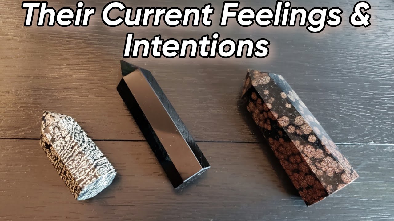 🧸💕 Their Current Feelings & Intentions Towards You 🧸💕 Pick A Card Love Reading