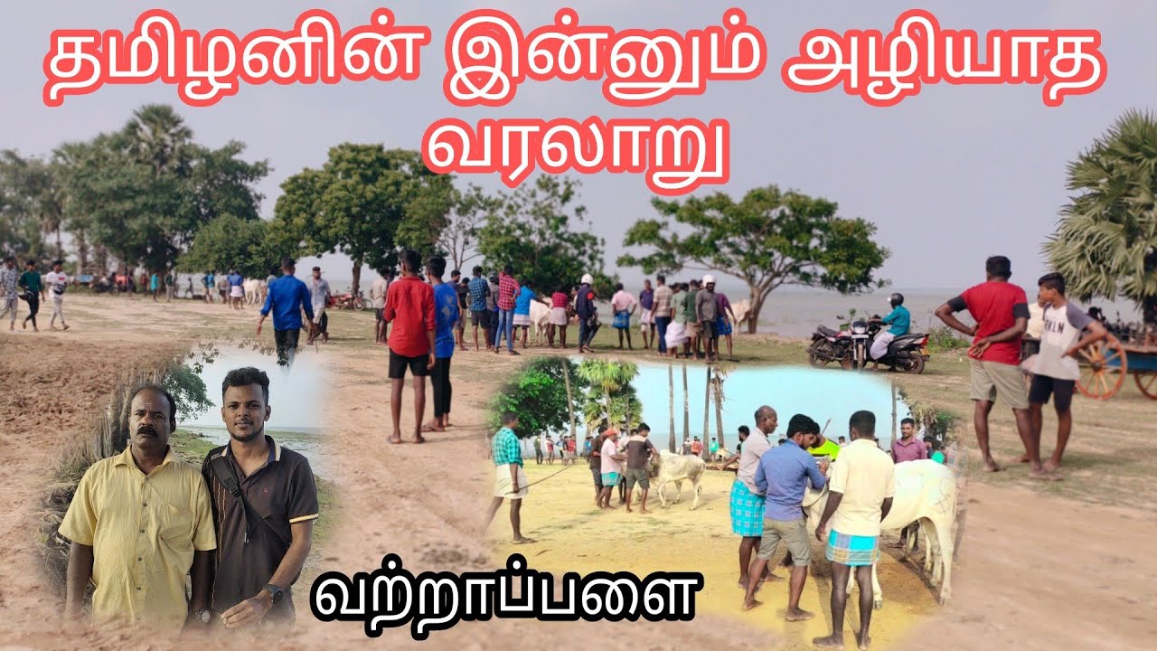 கண் கலங்க வைத்த சம்பவம் / #மாட்டுவண்டிசவாரிப்போட்டி2023 / வற்றாப்பளை / #முல்லைத்தீவு / #vkfromptk
