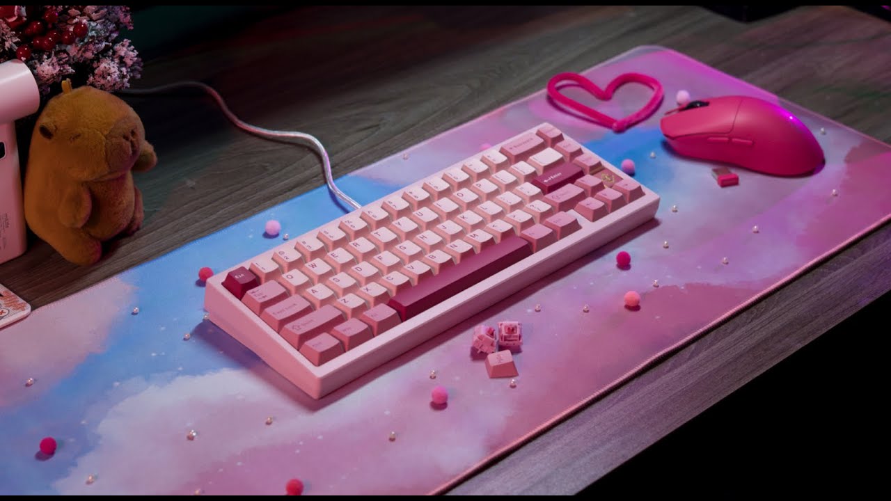 Wobkey Zen65 Sound Test | HMX Ziwei (Wob Violet) Switches