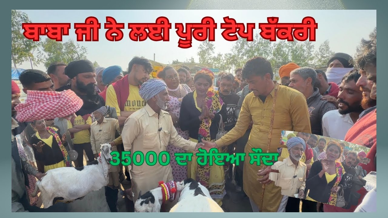 ਲੁਧਿਆਣੇ ਤੋਂ ਆਏ ਬਾਬਾ ਜੀ ਇਸ ਕਾ ਰਾਖਾ ਰੱਬ ਹੈ band kotadi the chacha kuchh nahin pata 35000 ਦਾ ਹੋਇਆ ਸੌਦਾ