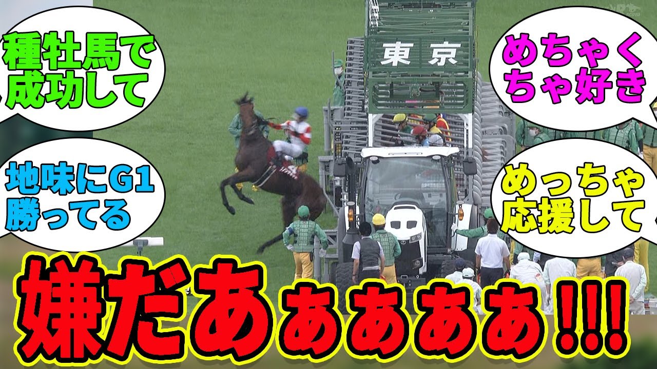 『ダノンザキッドとかいうおもしれー馬』に対するみんなの反応集【競馬の反応集】