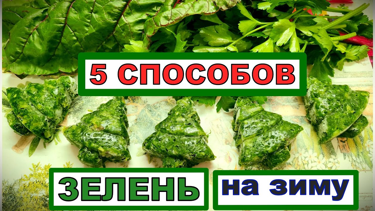 Пять простых способов ЗАГОТОВКИ ЗЕЛЕНИ на зиму