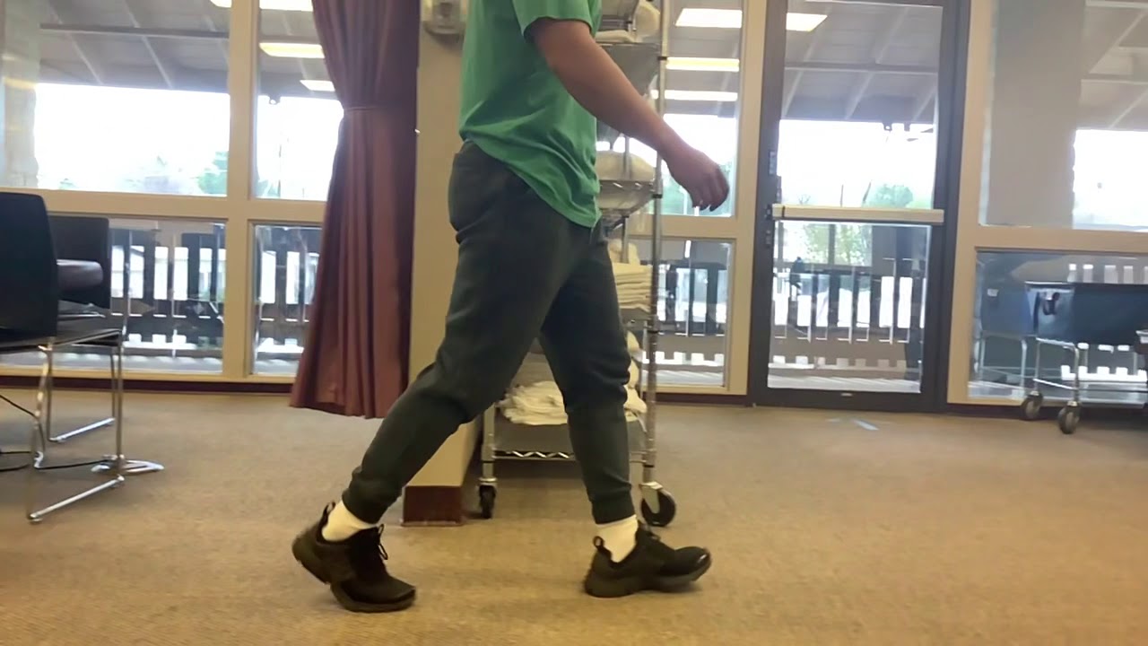 Normal Gait: Side View