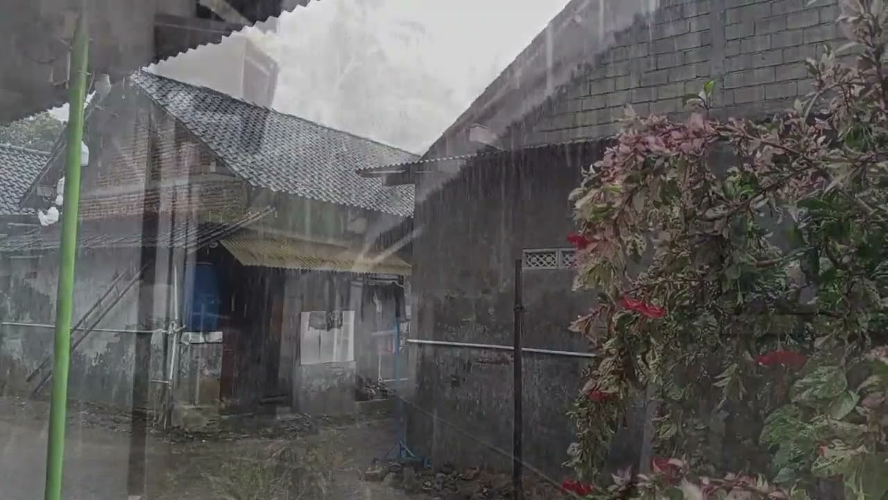 Soft Rain Sounds for Deep Sleep (3 Hours) | Raintone