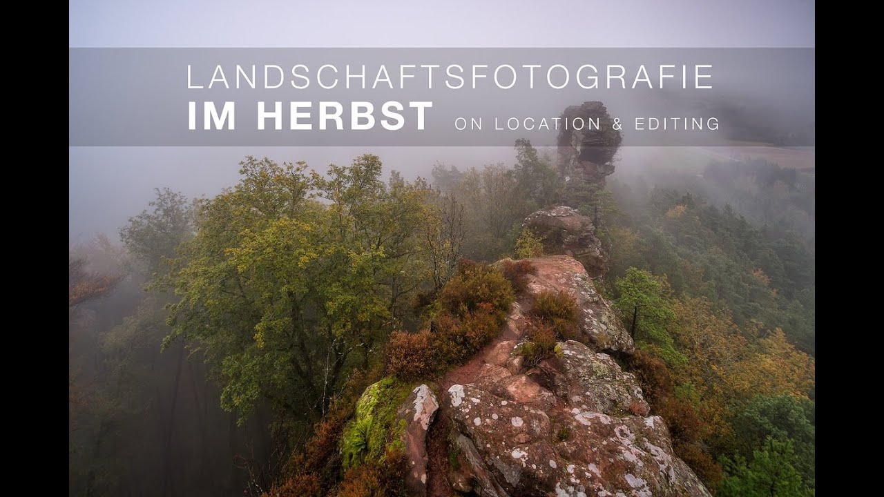 Landschaftsfotografie im Herbst | Nebel